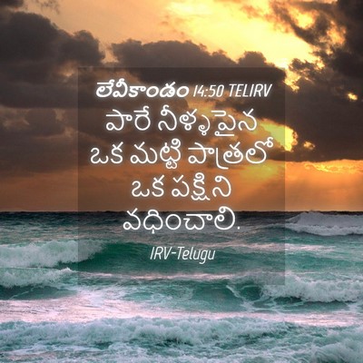 Picture 04 - లేవీకాండం 14:50 TELIRV - పారే నీళ్ళపైన ఒక - Bible Verse Picture