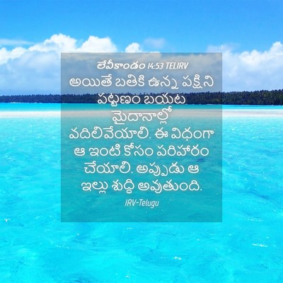 Picture 04 - లేవీకాండం 14:53 TELIRV - అయితే బతికి ఉన్న - Bible Verse Picture