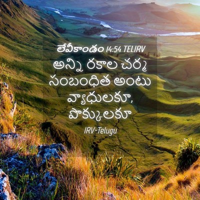 Picture 04 - లేవీకాండం 14:54 TELIRV - అన్ని రకాల చర్మ - Bible Verse Picture