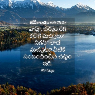 Picture 04 - లేవీకాండం 14:56 TELIRV - వాపూ, చర్మం రేగి - Bible Verse Picture