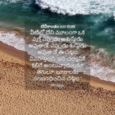 Picture 04 - లేవీకాండం 14:57 TELIRV - వీటిలో దేని - Bible Verse Picture
