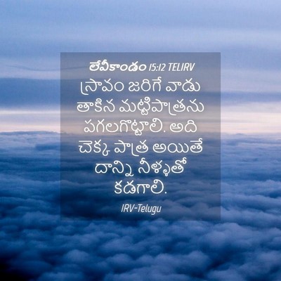 Picture 04 - లేవీకాండం 15:12 TELIRV - స్రావం జరిగే వాడు - Bible Verse Picture