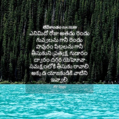 Picture 04 - లేవీకాండం 15:14 TELIRV - ఎనిమిదో రోజు అతడు - Bible Verse Picture