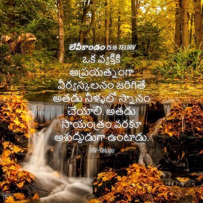 Picture 04 - లేవీకాండం 15:16 TELIRV - ఒక వ్యక్తికి - Bible Verse Picture