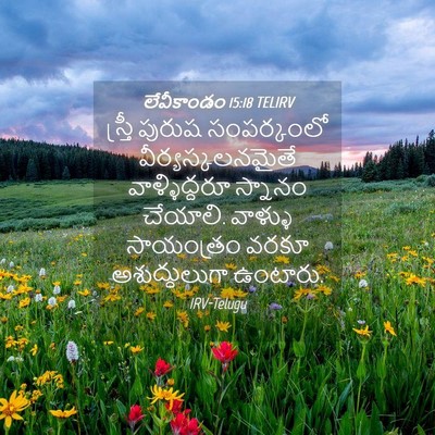 Picture 04 - లేవీకాండం 15:18 TELIRV - స్త్రీ పురుష - Bible Verse Picture