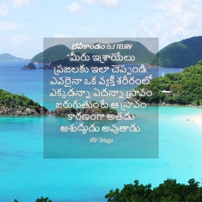 Picture 04 - లేవీకాండం 15:2 TELIRV - “మీరు ఇశ్రాయేలు - Bible Verse Picture