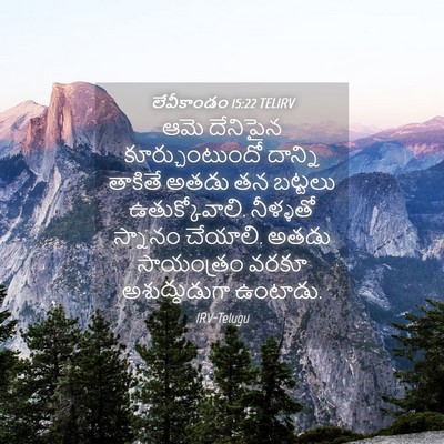 Picture 04 - లేవీకాండం 15:22 TELIRV - ఆమె దేనిపైన - Bible Verse Picture