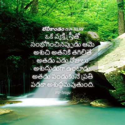 Picture 04 - లేవీకాండం 15:24 TELIRV - ఒక వ్యక్తి - Bible Verse Picture