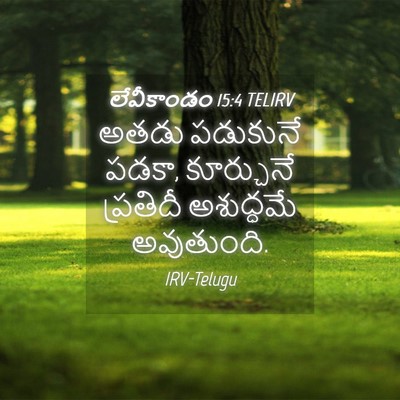 Picture 04 - లేవీకాండం 15:4 TELIRV - అతడు పడుకునే పడకా, - Bible Verse Picture