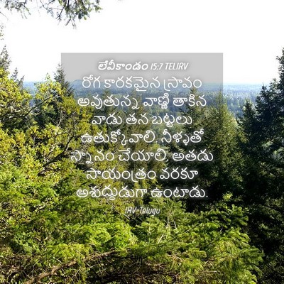 Picture 04 - లేవీకాండం 15:7 TELIRV - రోగ కారకమైన - Bible Verse Picture