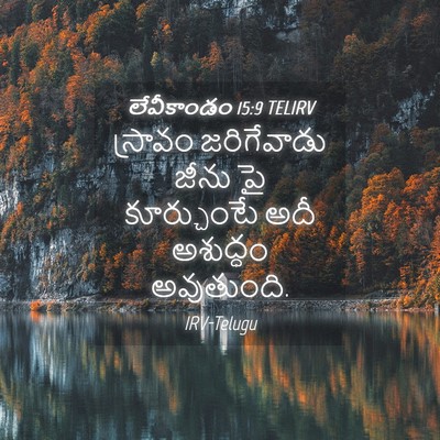 Picture 04 - లేవీకాండం 15:9 TELIRV - స్రావం జరిగేవాడు - Bible Verse Picture