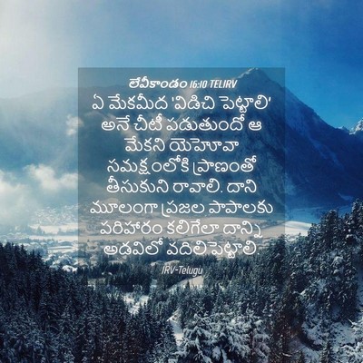 Picture 04 - లేవీకాండం 16:10 TELIRV - ఏ మేకమీద ‘విడిచి - Bible Verse Picture