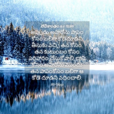 Picture 04 - లేవీకాండం 16:11 TELIRV - అప్పుడు అహరోను - Bible Verse Picture