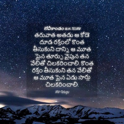 Picture 04 - లేవీకాండం 16:14 TELIRV - తరువాత అతడు ఆ కోడె - Bible Verse Picture