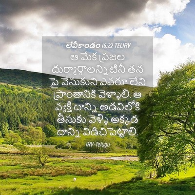Picture 04 - లేవీకాండం 16:22 TELIRV - ఆ మేక ప్రజల - Bible Verse Picture