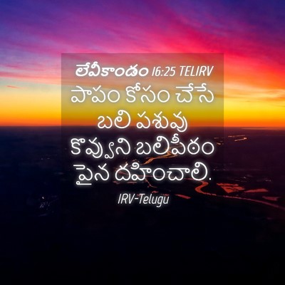 Picture 04 - లేవీకాండం 16:25 TELIRV - పాపం కోసం చేసే బలి - Bible Verse Picture