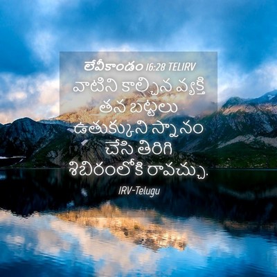 Picture 04 - లేవీకాండం 16:28 TELIRV - వాటిని కాల్చిన - Bible Verse Picture