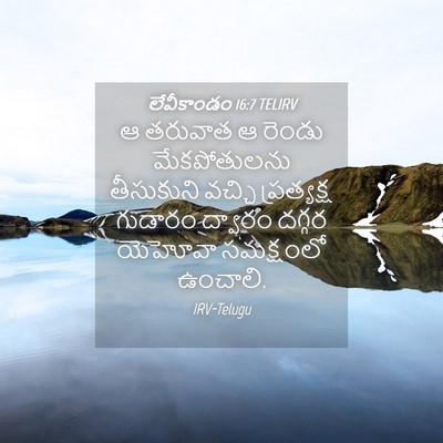 Picture 04 - లేవీకాండం 16:7 TELIRV - ఆ తరువాత ఆ రెండు - Bible Verse Picture