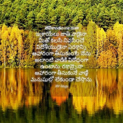 Picture 04 - లేవీకాండం 17:10 TELIRV - ఇశ్రాయేలు జాతి - Bible Verse Picture