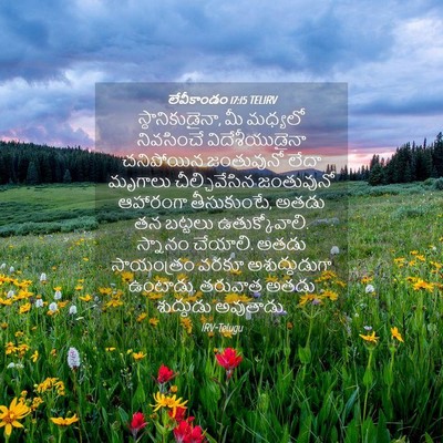 Picture 04 - లేవీకాండం 17:15 TELIRV - స్థానికుడైనా, మీ - Bible Verse Picture