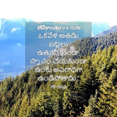 Picture 04 - లేవీకాండం 17:16 TELIRV - ఒకవేళ అతడు బట్టలు - Bible Verse Picture