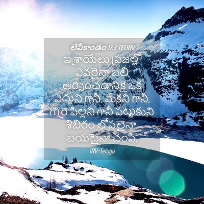 Picture 04 - లేవీకాండం 17:3 TELIRV - ఇశ్రాయేలు - Bible Verse Picture