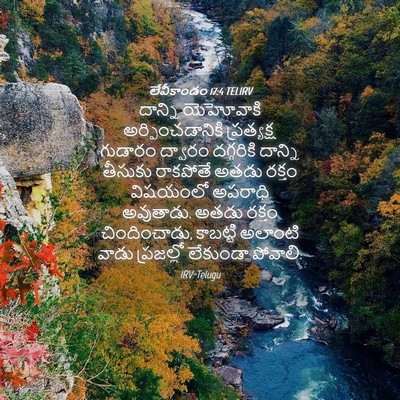 Picture 04 - లేవీకాండం 17:4 TELIRV - దాన్ని యెహోవాకి - Bible Verse Picture