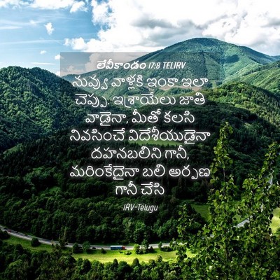 Picture 04 - లేవీకాండం 17:8 TELIRV - నువ్వు వాళ్లకి - Bible Verse Picture