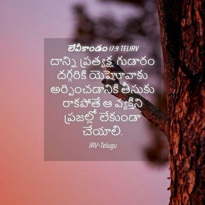 Picture 04 - లేవీకాండం 17:9 TELIRV - దాన్ని ప్రత్యక్ష - Bible Verse Picture