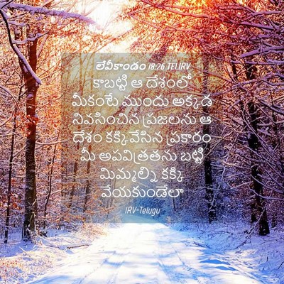 Picture 04 - లేవీకాండం 18:26 TELIRV - కాబట్టి ఆ దేశంలో - Bible Verse Picture