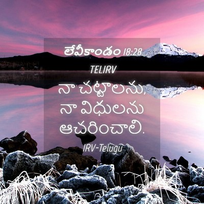 Picture 04 - లేవీకాండం 18:28 TELIRV - నా చట్టాలను, నా - Bible Verse Picture
