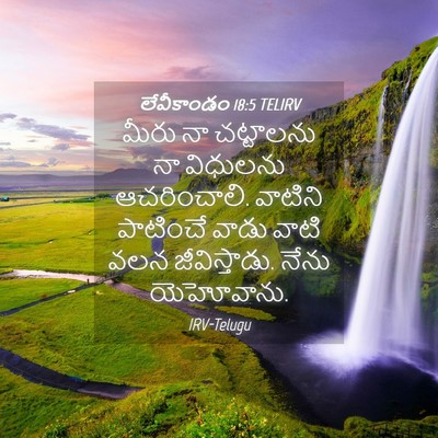 Picture 04 - లేవీకాండం 18:5 TELIRV - మీరు నా చట్టాలను - Bible Verse Picture