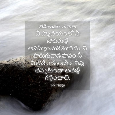 Picture 04 - లేవీకాండం 19:17 TELIRV - నీ హృదయంలో నీ - Bible Verse Picture