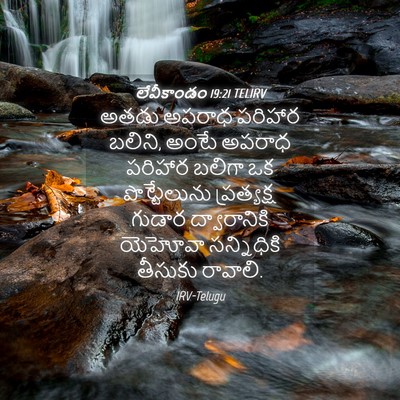 Picture 04 - లేవీకాండం 19:21 TELIRV - అతడు అపరాధ పరిహార - Bible Verse Picture