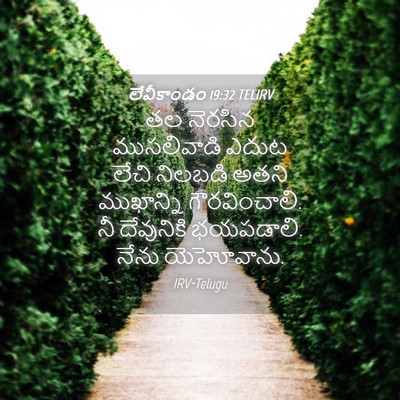 Picture 04 - లేవీకాండం 19:32 TELIRV - తల నెరసిన - Bible Verse Picture