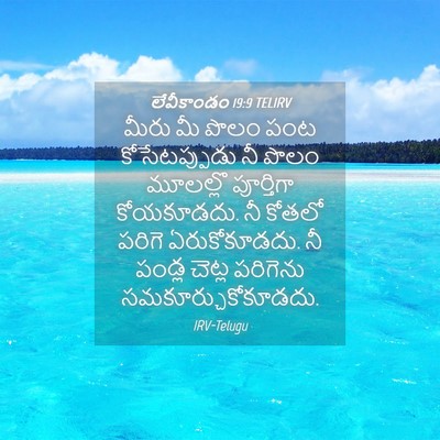 Picture 04 - లేవీకాండం 19:9 TELIRV - మీరు మీ పొలం పంట - Bible Verse Picture