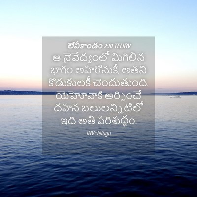 Picture 04 - లేవీకాండం 2:10 TELIRV - ఆ నైవేద్యంలో - Bible Verse Picture
