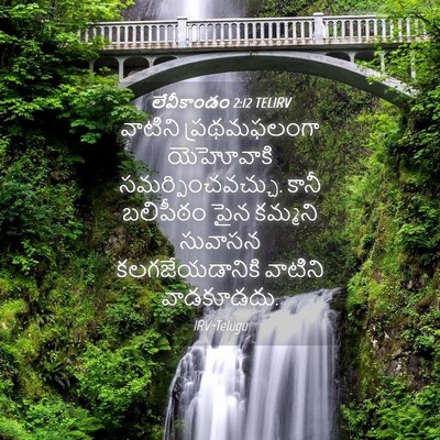 Picture 04 - లేవీకాండం 2:12 TELIRV - వాటిని ప్రథమఫలంగా - Bible Verse Picture