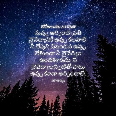 Picture 04 - లేవీకాండం 2:13 TELIRV - నువ్వు అర్పించే - Bible Verse Picture