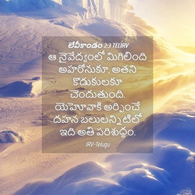 Picture 04 - లేవీకాండం 2:3 TELIRV - ఆ నైవేద్యంలో - Bible Verse Picture