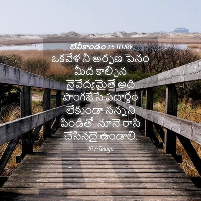Picture 04 - లేవీకాండం 2:5 TELIRV - ఒకవేళ నీ అర్పణ - Bible Verse Picture
