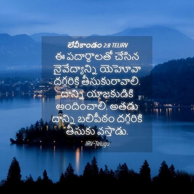 Picture 04 - లేవీకాండం 2:8 TELIRV - ఈ పదార్ధాలతో - Bible Verse Picture