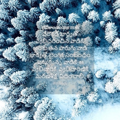 Picture 04 - లేవీకాండం 20:10 TELIRV - వేరొకడి భార్యతో - Bible Verse Picture
