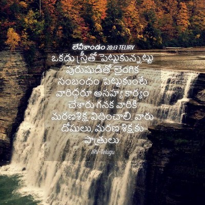 Picture 04 - లేవీకాండం 20:13 TELIRV - ఒకడు స్త్రీతో - Bible Verse Picture
