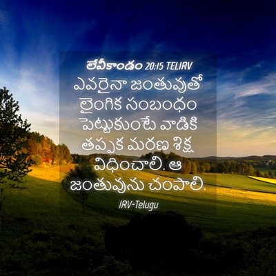 Picture 04 - లేవీకాండం 20:15 TELIRV - ఎవరైనా జంతువుతో - Bible Verse Picture