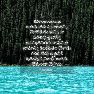 Picture 04 - లేవీకాండం 20:3 TELIRV - అతడు తన - Bible Verse Picture