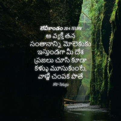 Picture 04 - లేవీకాండం 20:4 TELIRV - ఆ వ్యక్తి తన - Bible Verse Picture