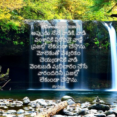 Picture 04 - లేవీకాండం 20:5 TELIRV - అప్పుడు నేనే - Bible Verse Picture