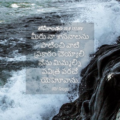 Picture 04 - లేవీకాండం 20:8 TELIRV - మీరు నా శాసనాలను - Bible Verse Picture