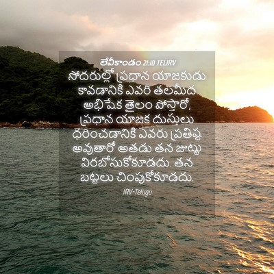 Picture 04 - లేవీకాండం 21:10 TELIRV - సోదరుల్లో ప్రధాన - Bible Verse Picture